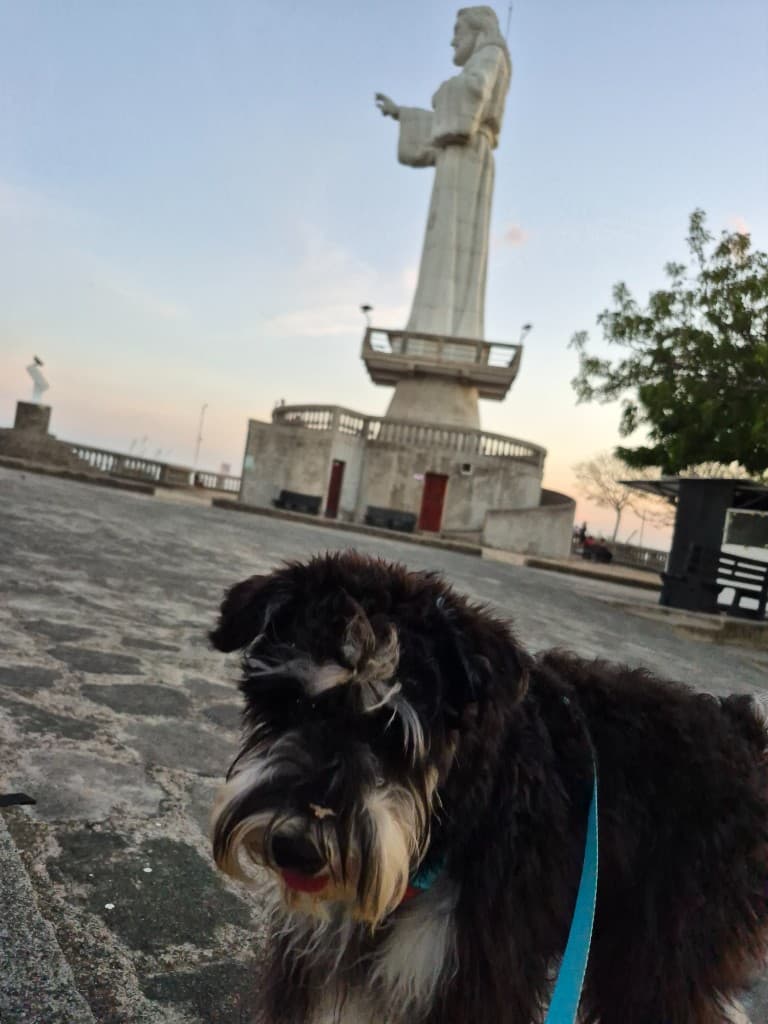 Galiano the schnauzer at Cristo de la Misericordia in San Juan del Sur