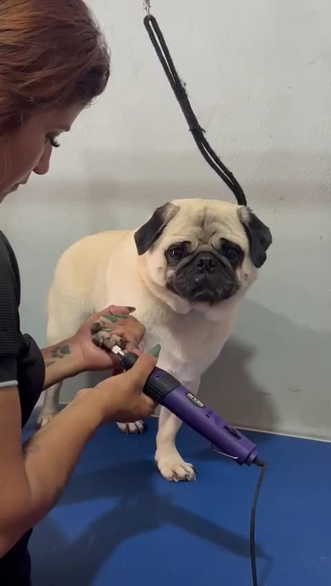 Nail care in the studio
